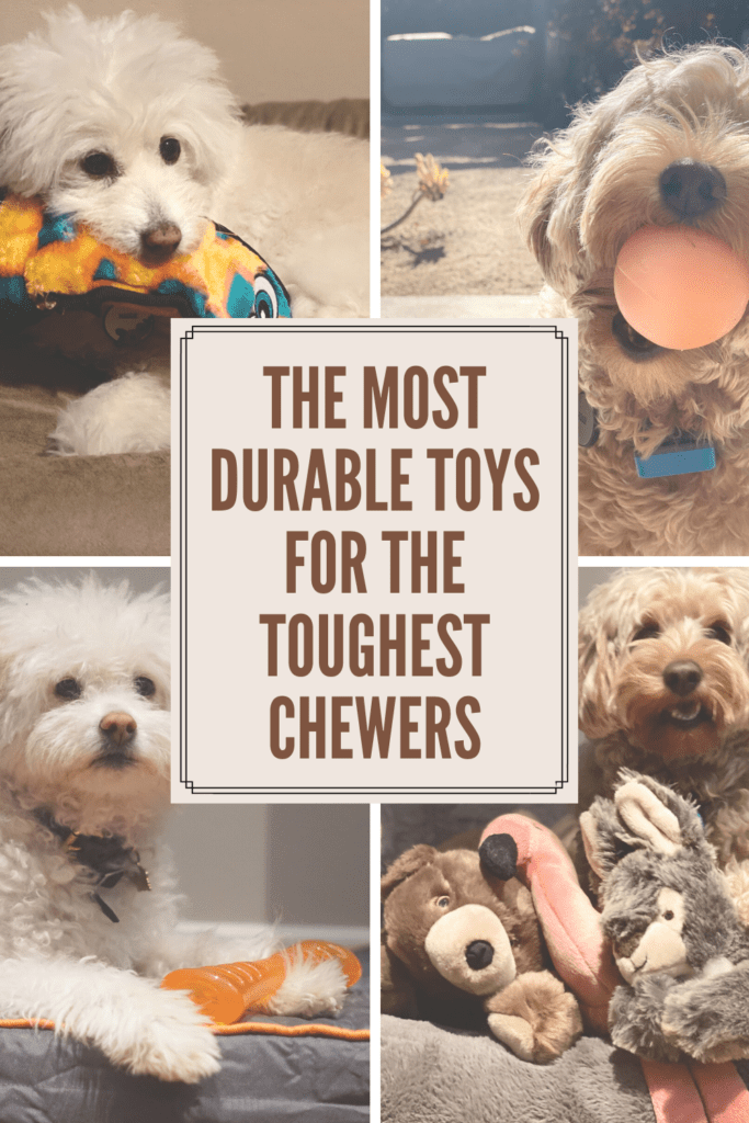 Dog toys for heavy and tough chewers