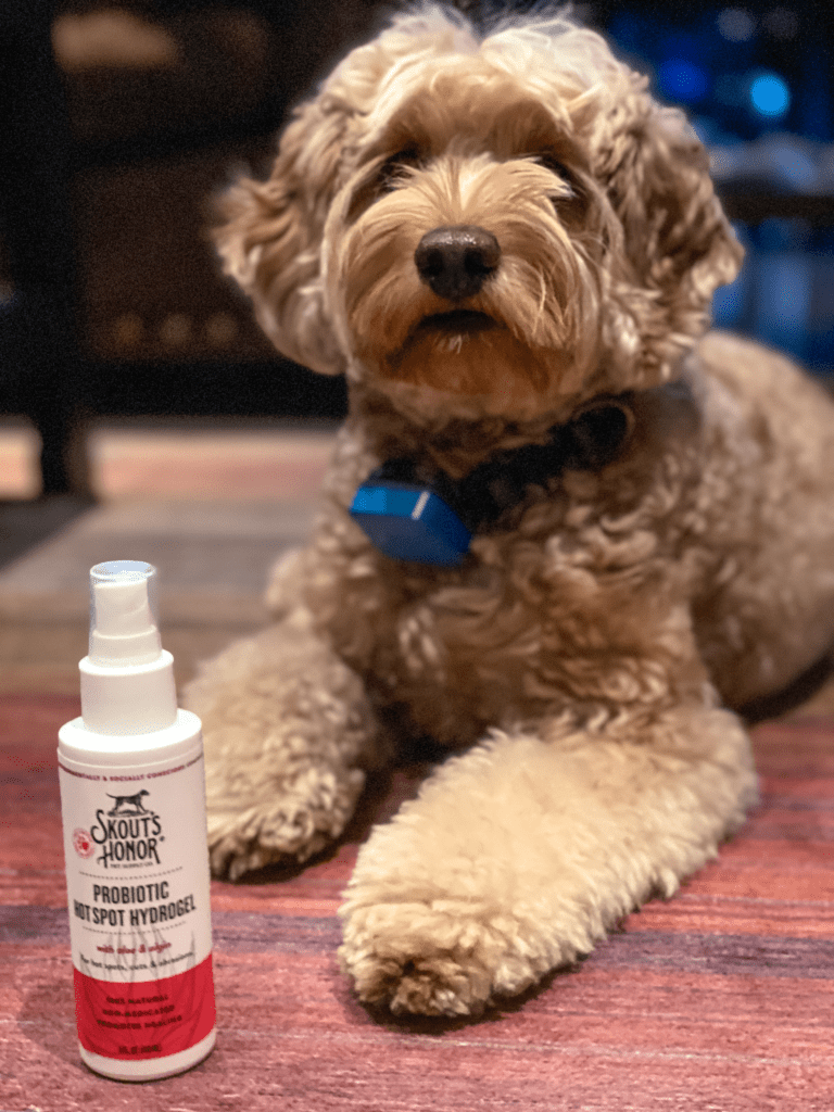 Household items you need to have at home in case of an emergency with your pet