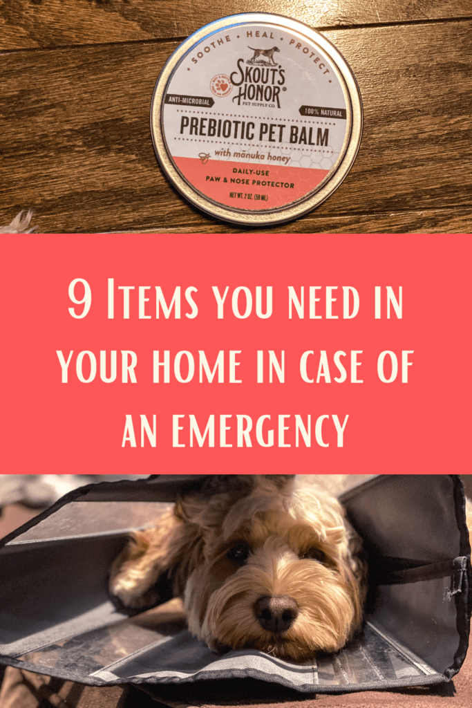 9 items you need in your home for your pet emergency kit