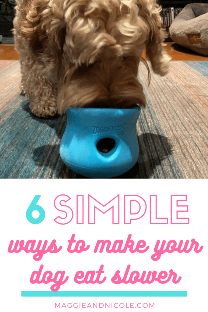 6 ways to successfully slow your dogs eating down