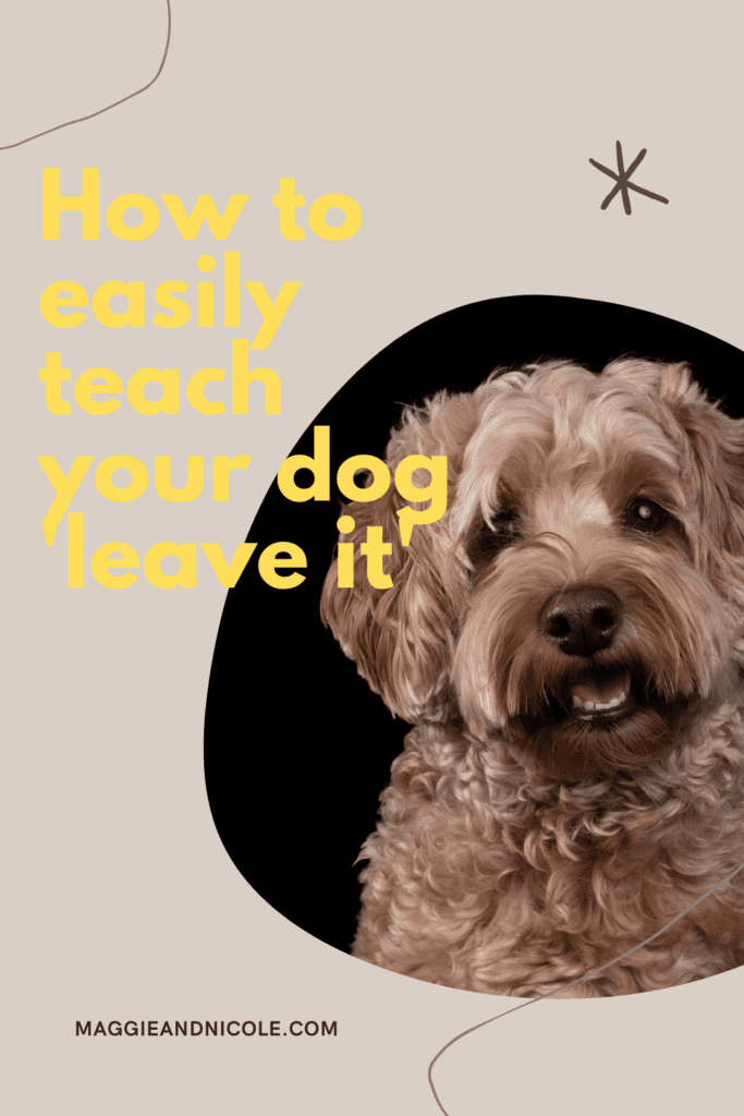 how to teach your dog leave it
