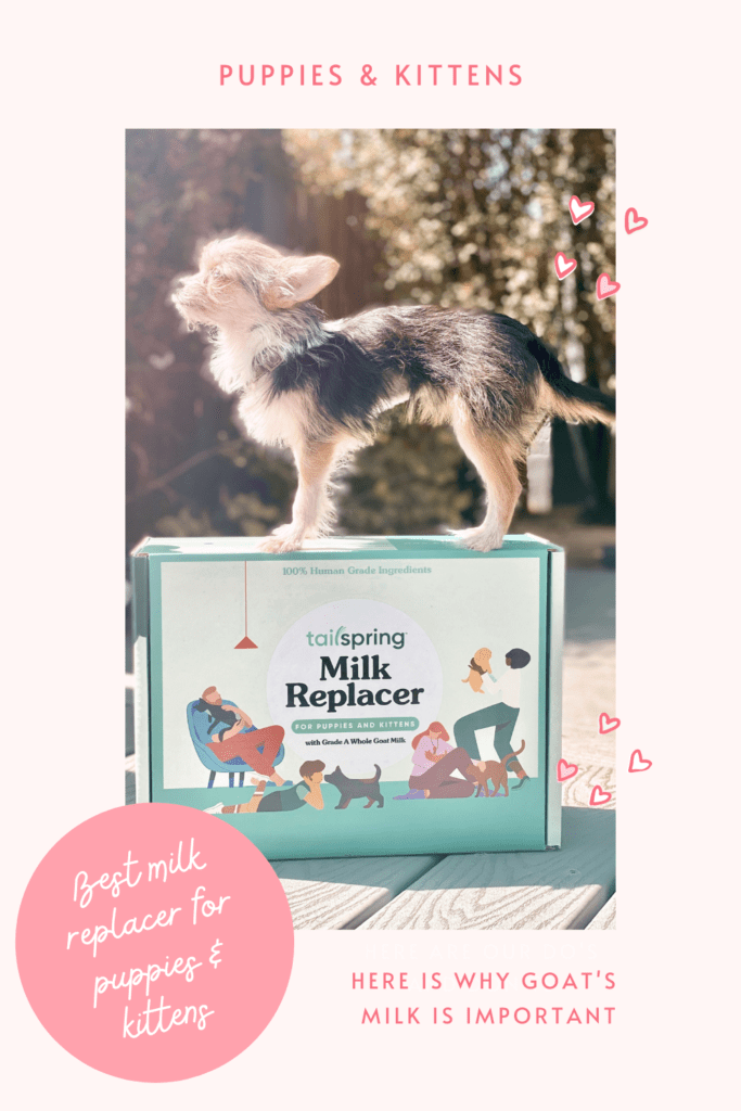 best milk replacer for puppies