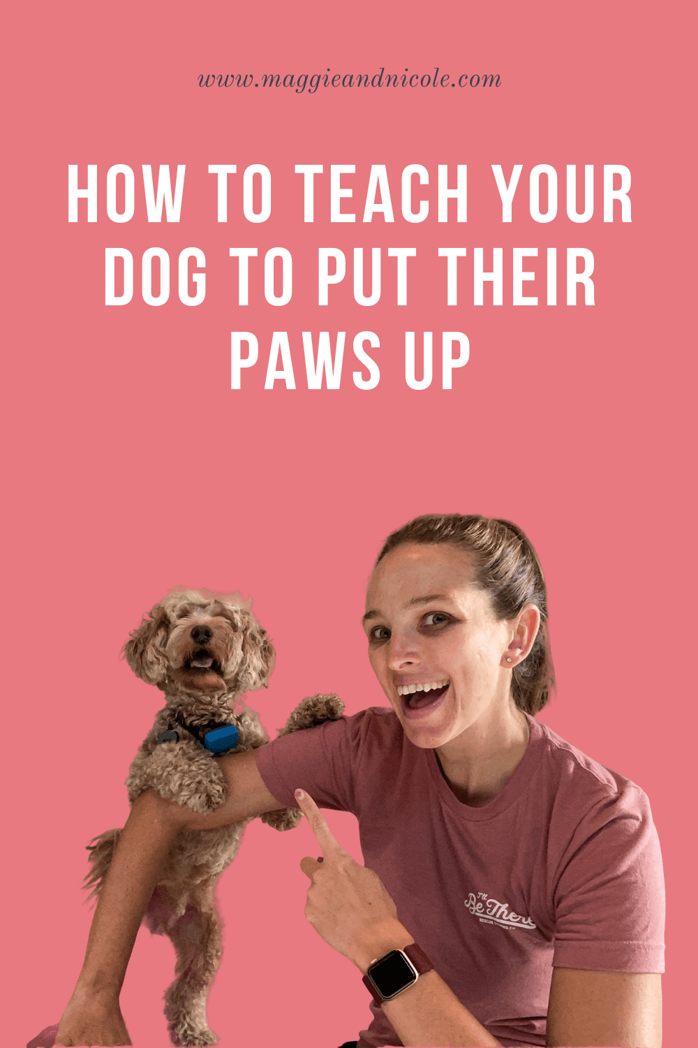 Teaching your dog paws up