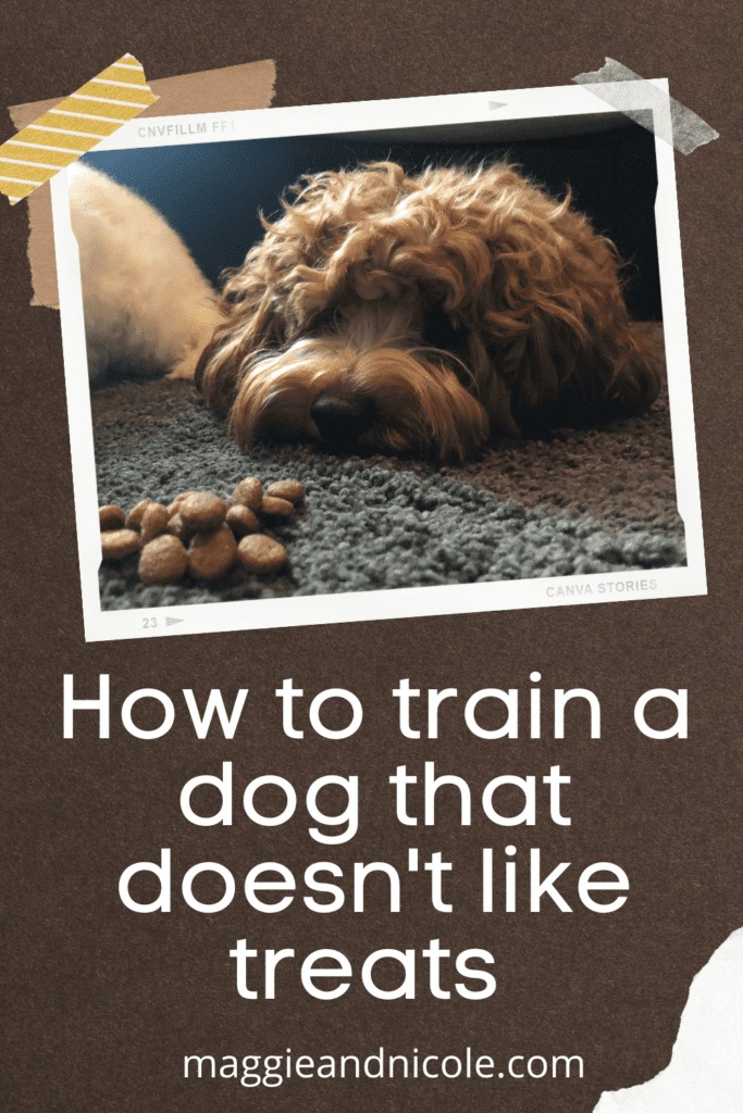 how to train a dog to do tricks without treats