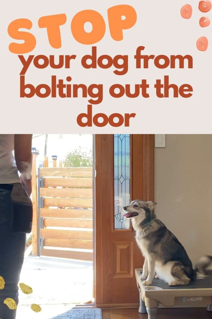stop your dog from bolting out the door