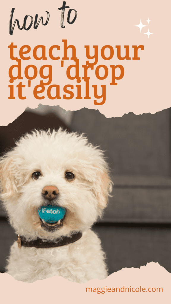 how to teach your dog drop it